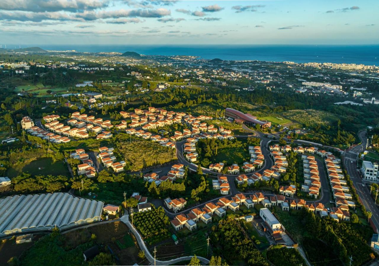 Camphortree Hotel And Resort Jeju Eksteriør billede